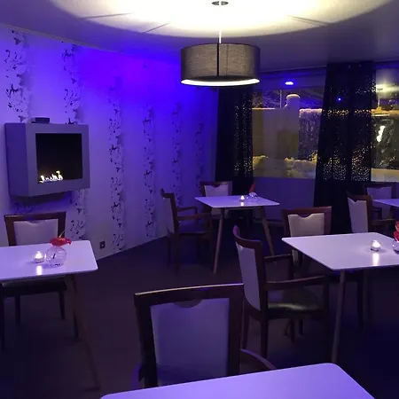 Hotel Le Belvedere 3*